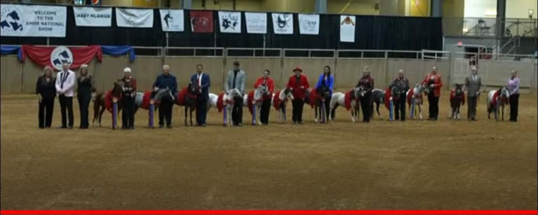 Parade of Champions at AMHR NATIONALS 2022! THANK YOU TO EVERYONE.