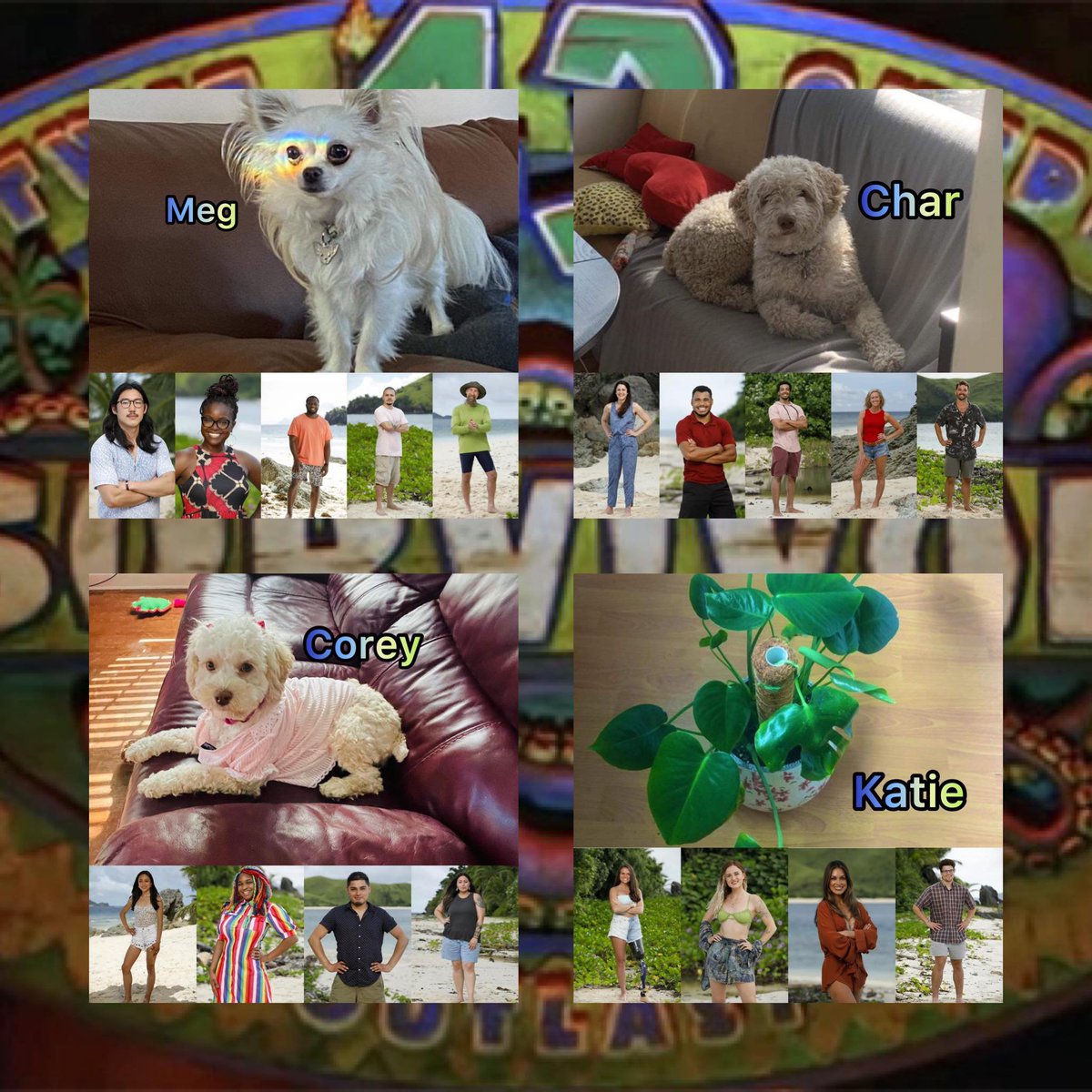 coreyants's tweet photo. Introducing the CCKM #Survivor43 draft:
Char: @stanbbcan 
Corey: @coreyants 
Katie: @COrealitykat 
Meg: @meghascancer 

Thank you @tkm809 for the graphics! 🤍 https://t.co/Hi1d2AWfW7