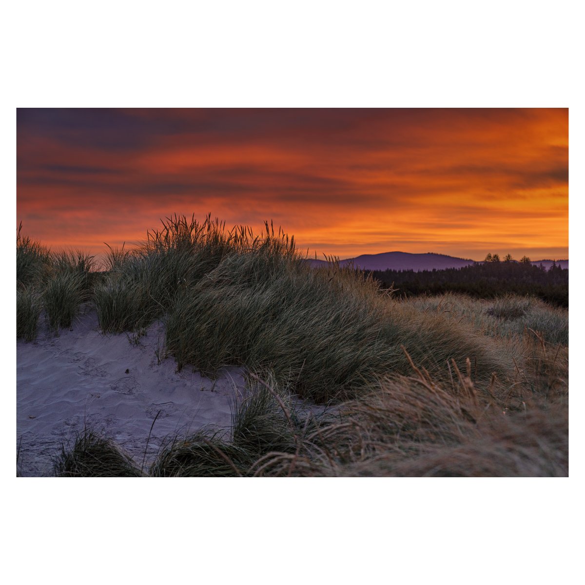 Mike Jacobs 🏳️🌈 tweet media