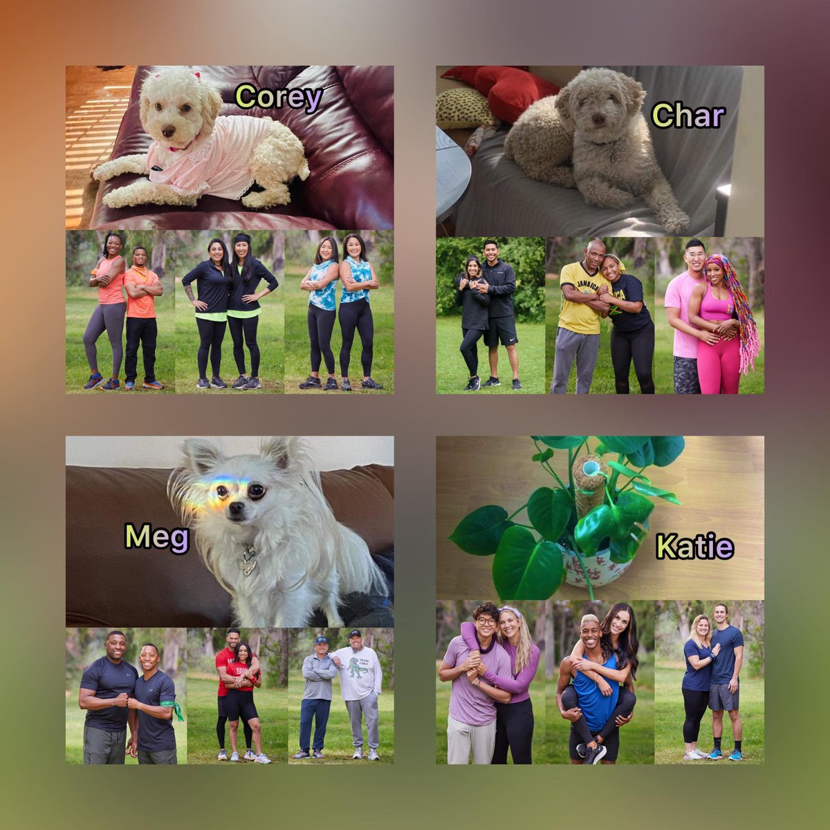 coreyants's tweet photo. Introducing the CCKM #TAR34 draft:
Char: @stanbbcan 
Corey: @coreyants 
Katie: @COrealitykat 
Meg: @meghascancer 

Thank you @tkm809 for the graphics! 💚 https://t.co/94iprK4k9Y
