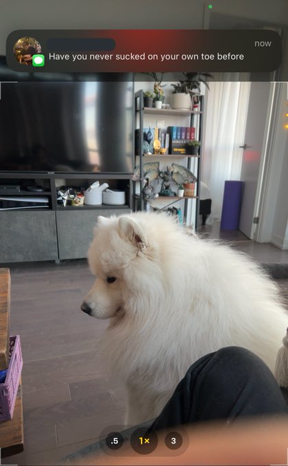 trying to record a video of my dog and i get this notification https://t.co/2JFWWF1Y7d