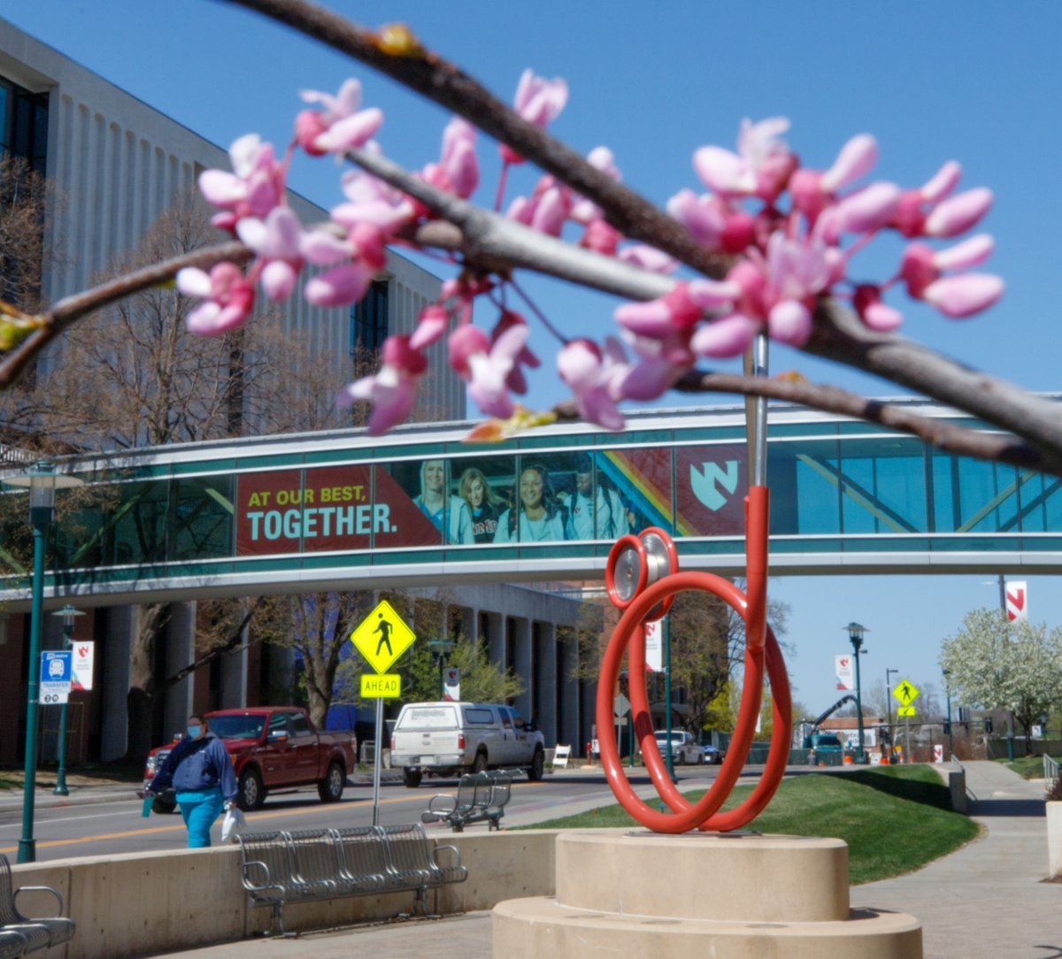UNMCCON's tweet photo. UNMCCON has over 40 Graduate Faculty ready to assist you in your Nursing Career Goals. 

Compare your research interests to ours https://t.co/3wekNFGVCR and apply to the program that is right for you! https://t.co/VffSKUiDmP

📷 @unmc photography 
#NursingResearch #GraduateSchool https://t.co/qkg48qpv9B