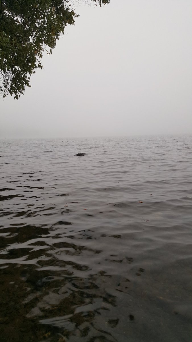 Anne Ashley tweet media