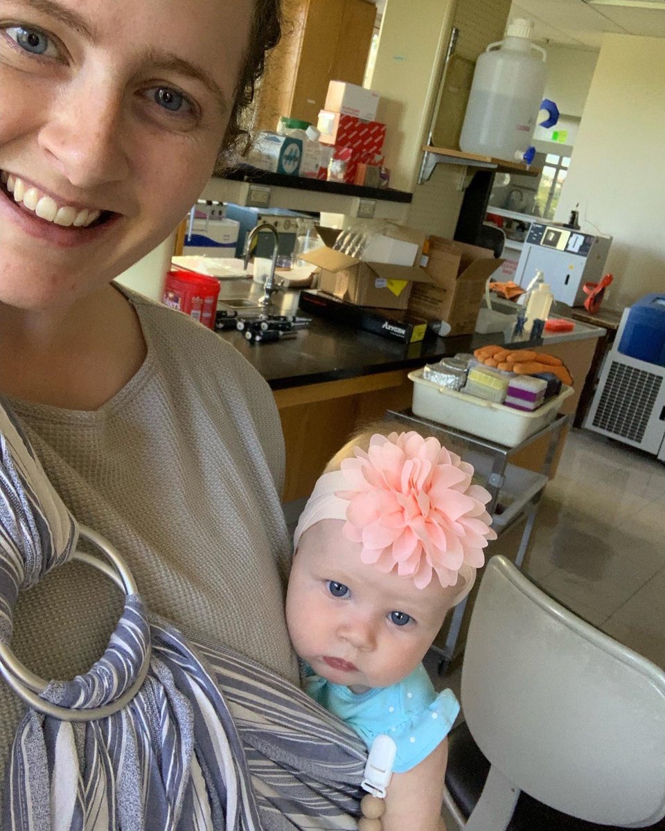 systeminists's tweet image. This week’s spotlight: Theresa Saunders 🔦
I am studying the phylogenetic relationships in the plant family Cleomaceae. I have a partner, two dogs, and a energetic baby, so finding the right life-work balance gets fun!
