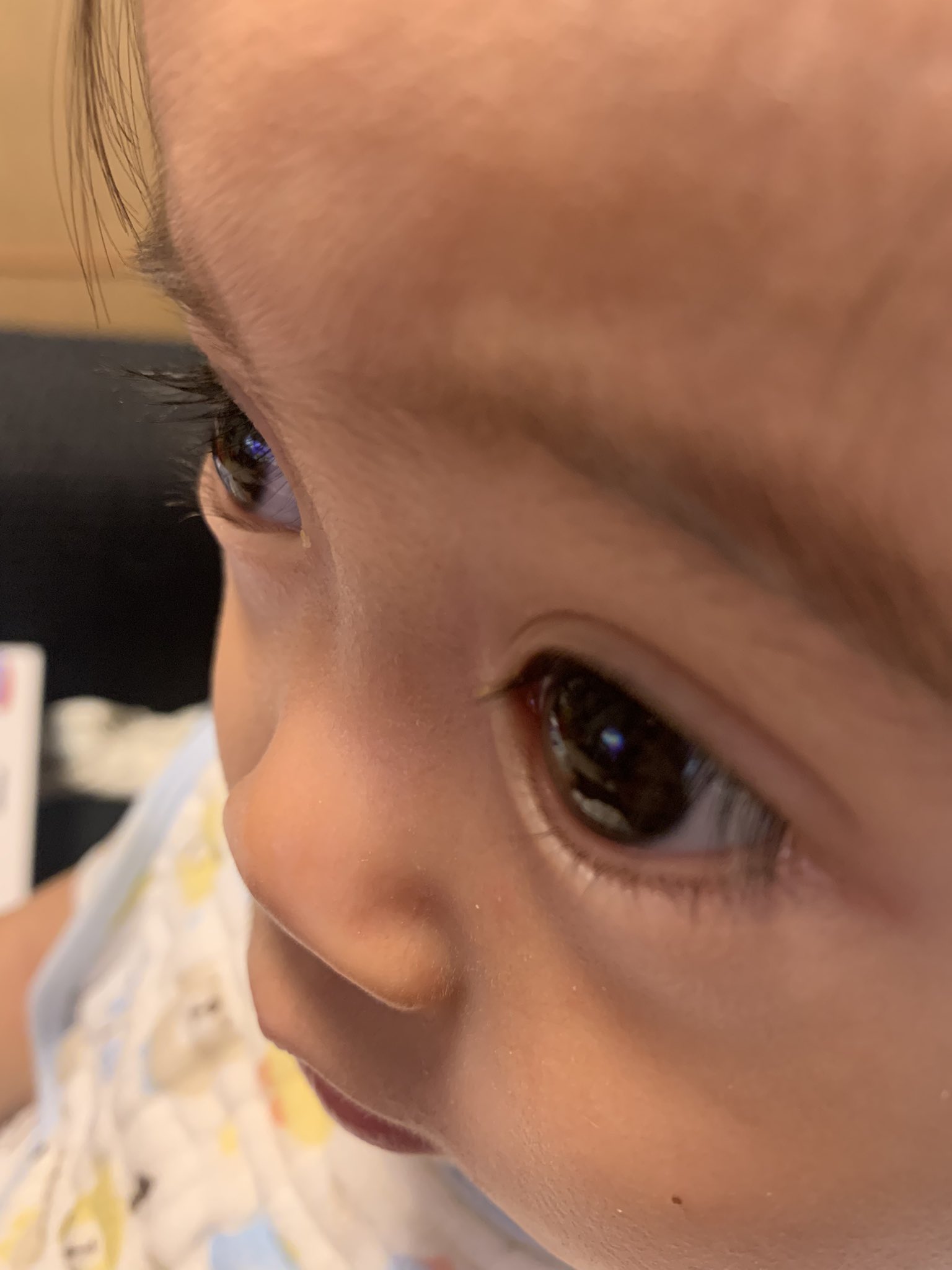 すぎや 不動産会社3代目 Hiroki Sugiya Twitter