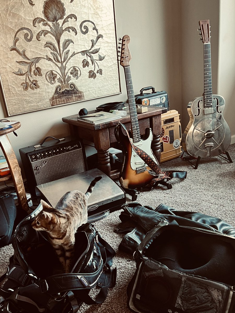 joiecalio's tweet photo. Packing up for next trip to #LosAngeles #stowaway #cat #bengalcat #rocknroll #fenderstratocaster #nationalguitar @FenderCustom @nationalguitars #schmidtarray #7Horse https://t.co/yUOtxCYR36