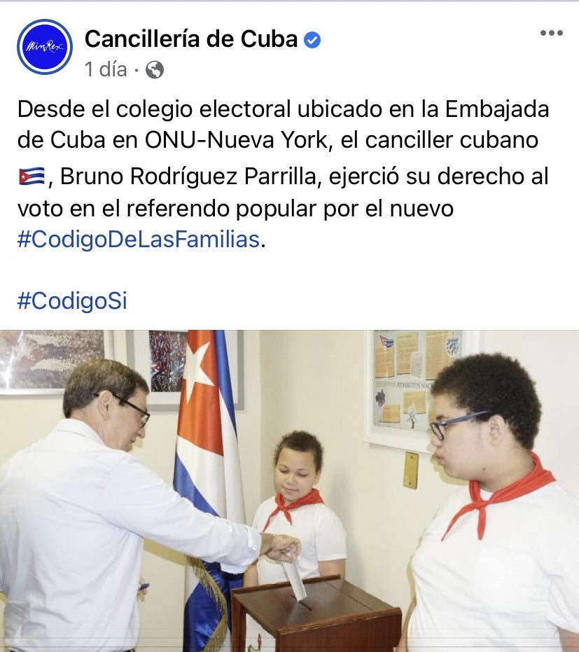 CubaLiborio's tweet photo. Ni cubanos parecen estos niños, hijos de algún funcionario de la embajada de #Cuba en la ONU- Nueva York. 
Obvio que no les quitaron la leche a los 7 años como a la mayoría de los hijos de cualquier cubano de a pie. 

#AbajoLaDictadura #LibertadParaLosPresosPoliticos @BrunoRguezP https://t.co/reW8O3OGNd