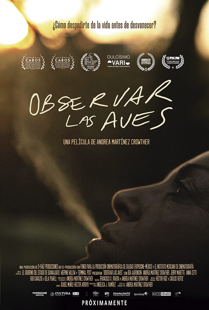 ProgramaSimio's tweet photo. Les dejamos las canciones del #TenemosSimio de hoy y les recordamos que la hermosa película de la que platicamos hoy, #ObservarLasAves, se estrena el jueves 22 de septiembre en @Cinemex y la @CinetecaMexico https://t.co/XbCEqAqJBm