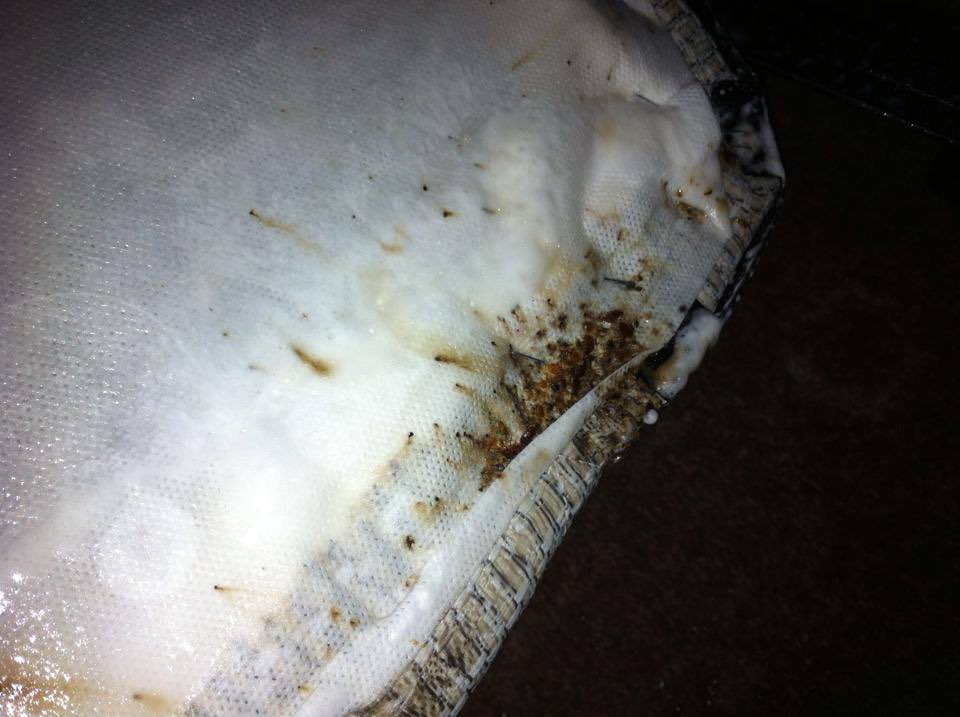 VersaTechPM's tweet photo. Have bed bugs taken over your home? The pros at Versa-Tech Pest Management can help! Call today for your free pest inspection / estimate at (888) 429-1213.

#bedbugs #bedbugkillers #howtogetridofbedbugs #getridofbedbugs #LosAngeles #SanDimas #bedbugtreatments #howtotreatbedbugs https://t.co/5PM4yMlffl