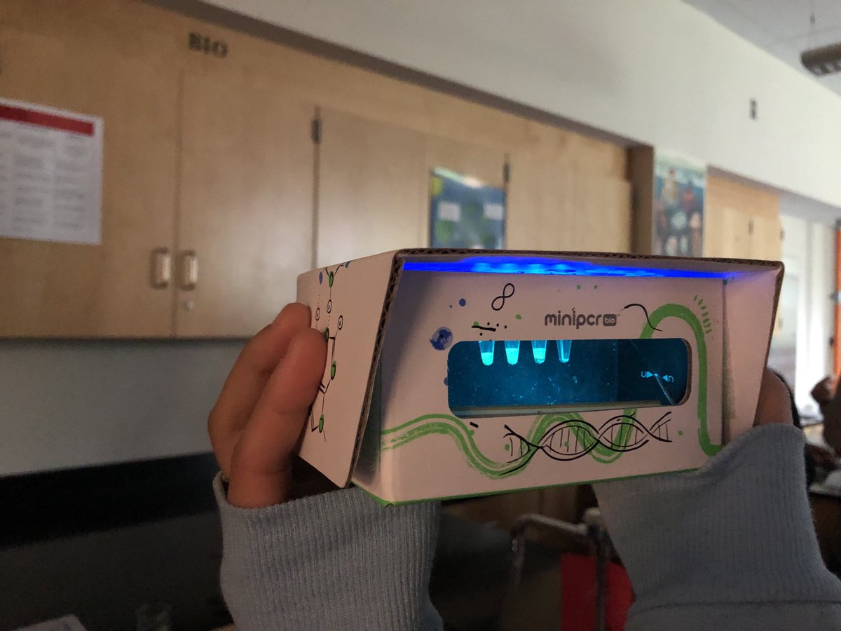 DrDessyDimov's tweet photo. How cool is that! Kiddos couldn’t get enough. Why are fascinated with glow thingies? #APBio #miniPCR #Science is cool https://t.co/Jg702uLkAB