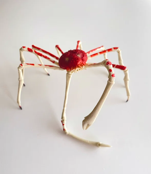探してもなかなか無かったカニガチャ。竹下通りで見つけて回したらタカアシガニが出てめちゃくちゃ湧いてスキップして帰った。のカニコレ 