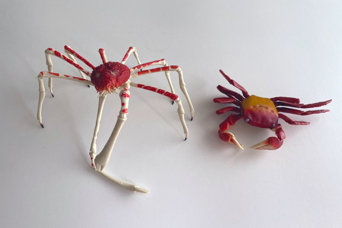 「探してもなかなか無かったカニガチャ。竹下通りで見つけて回したらタカアシガニが出て」|東 ちなつのイラスト