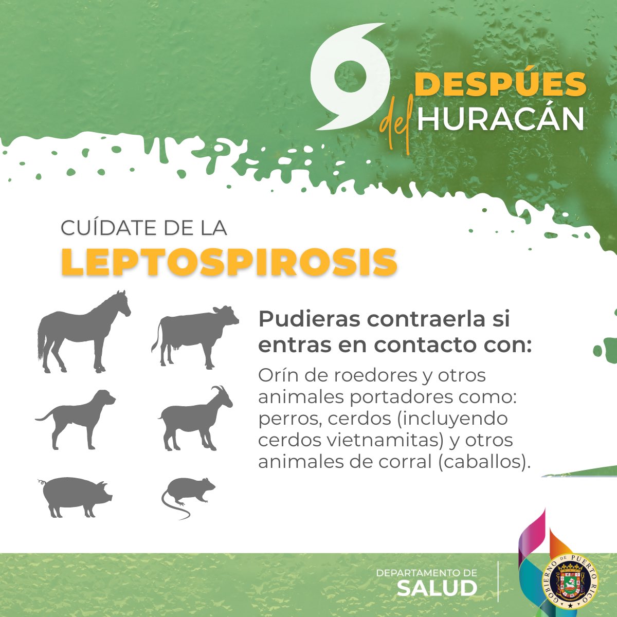 Departamento de Salud de Puerto Rico tweet media