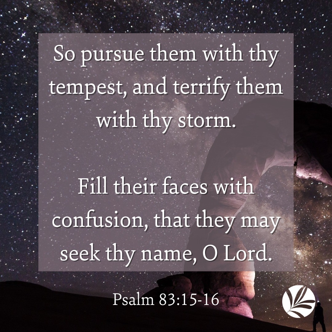 LanceLambertMin's tweet photo. P S A L M 83:15-16
So pursue them with thy tempest, and terrify them with thy storm.
Fill their faces with confusion, that they may seek thy name, O Lord.
.
.
.
.
.
#LanceLambert #Psalm83 #Israel #Totheendsoftheearth #christianpodcast #newchristianpodcast #islamvsisrael #christi https://t.co/v9VXK0Q8aY