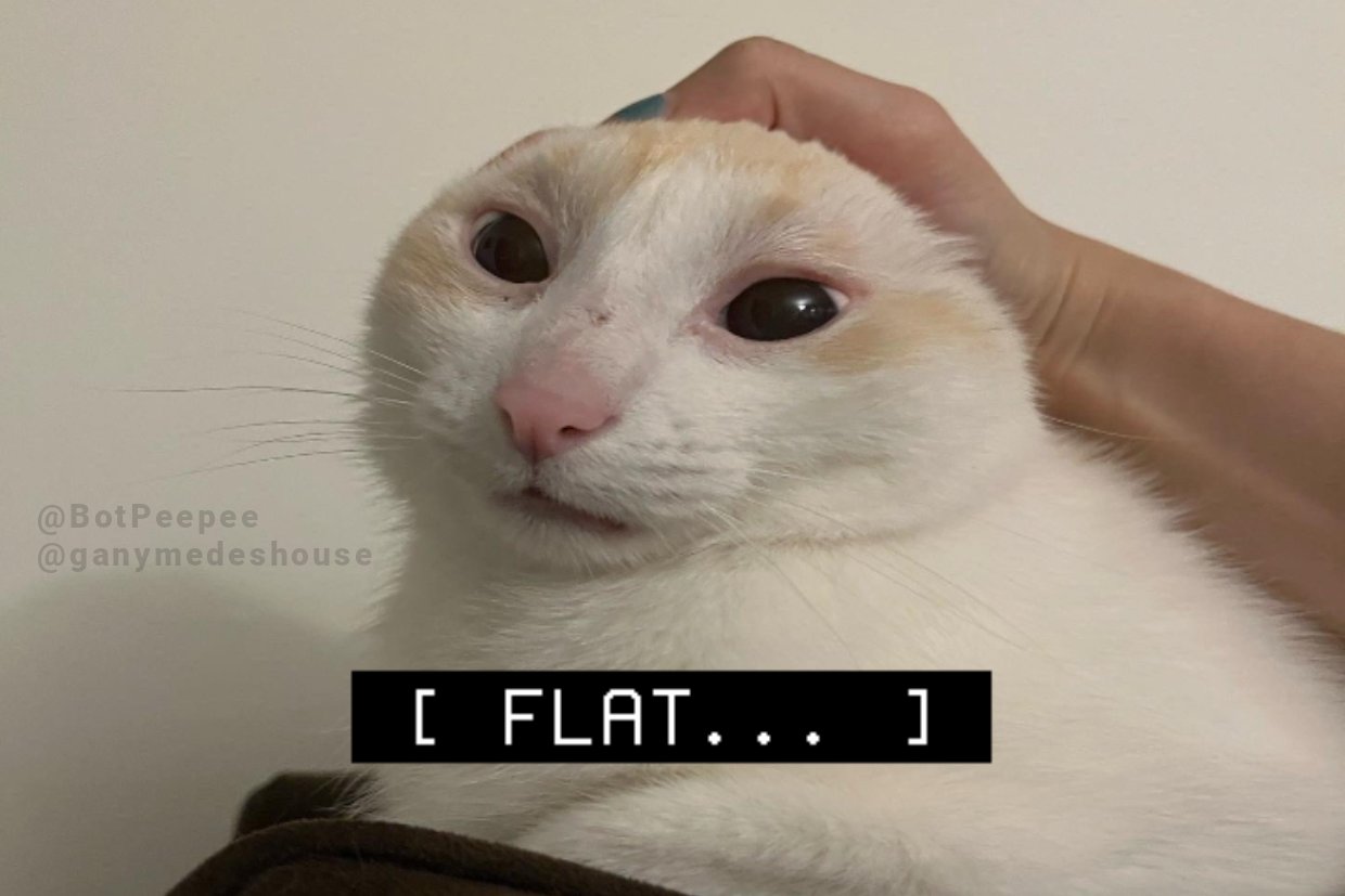 Auti (AltistiCat2406) / Twitter