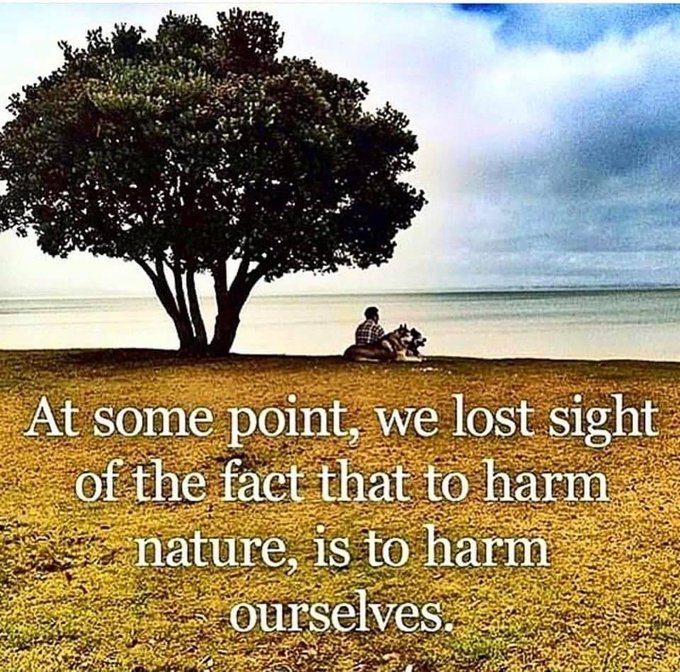 MaximusCampers's tweet photo. #atsomepoint #fact #donoharm #nature https://t.co/ING7vS6x0m