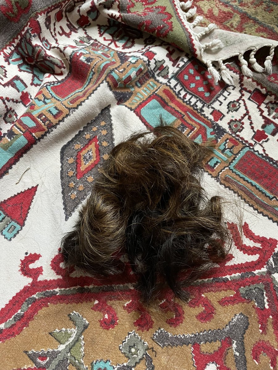 SomayehTohidi's tweet photo. I cut my hair today in memory of a 22-yr old girl who was killed by morality police in Iran and in solidarity with the movement among Iranian women who cut their hair to protest against the corrupt regime. Cutting hair is a symbolic act of mourning in my culture.

#Mahsa_Amini https://t.co/pUFGliOsS3