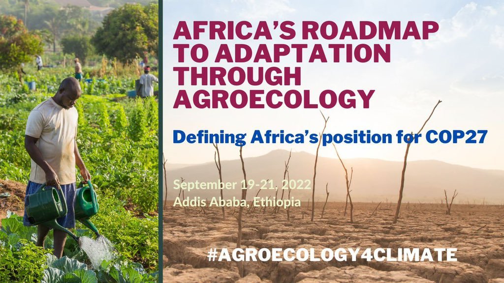 Statement early this month from the Alliance for Food Sovereignty in Africa⬇️

They take a stand against the Rockefeller/Gates/USAID backed AGRA development model which degraded local ecologies + the livelihoods of small farmers to enrich MNCs.

They're also preparing for #COP27