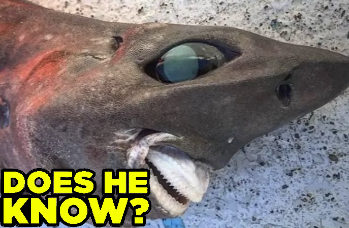 Evan Banyash tweet media