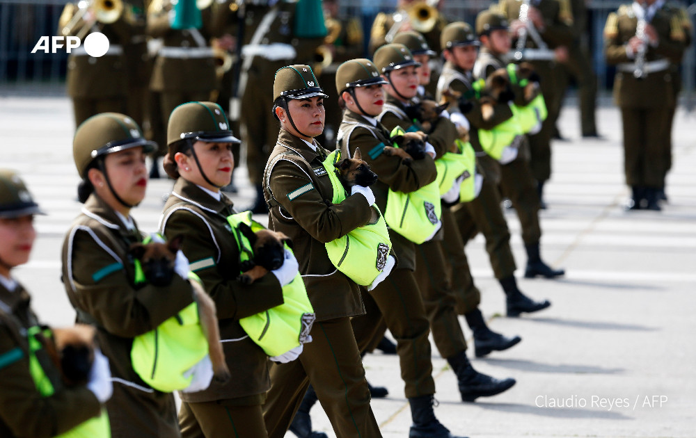 Dog patrol.

<a href="/AFP/">AFP News Agency</a>'s Claudio Reyes zooms in on police officers marching with their sniffer dogs during a military parade in Santiago marking the 212th anniversary of Chile's independence