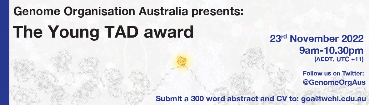 It’s that time of year again we are delighted to announce that we are inviting applications for the GOA Young TAD Award! The award is open to all young, talented and developing 3D genome researchers (up to 2 years post-PhD). Students are strongly encouraged to apply!