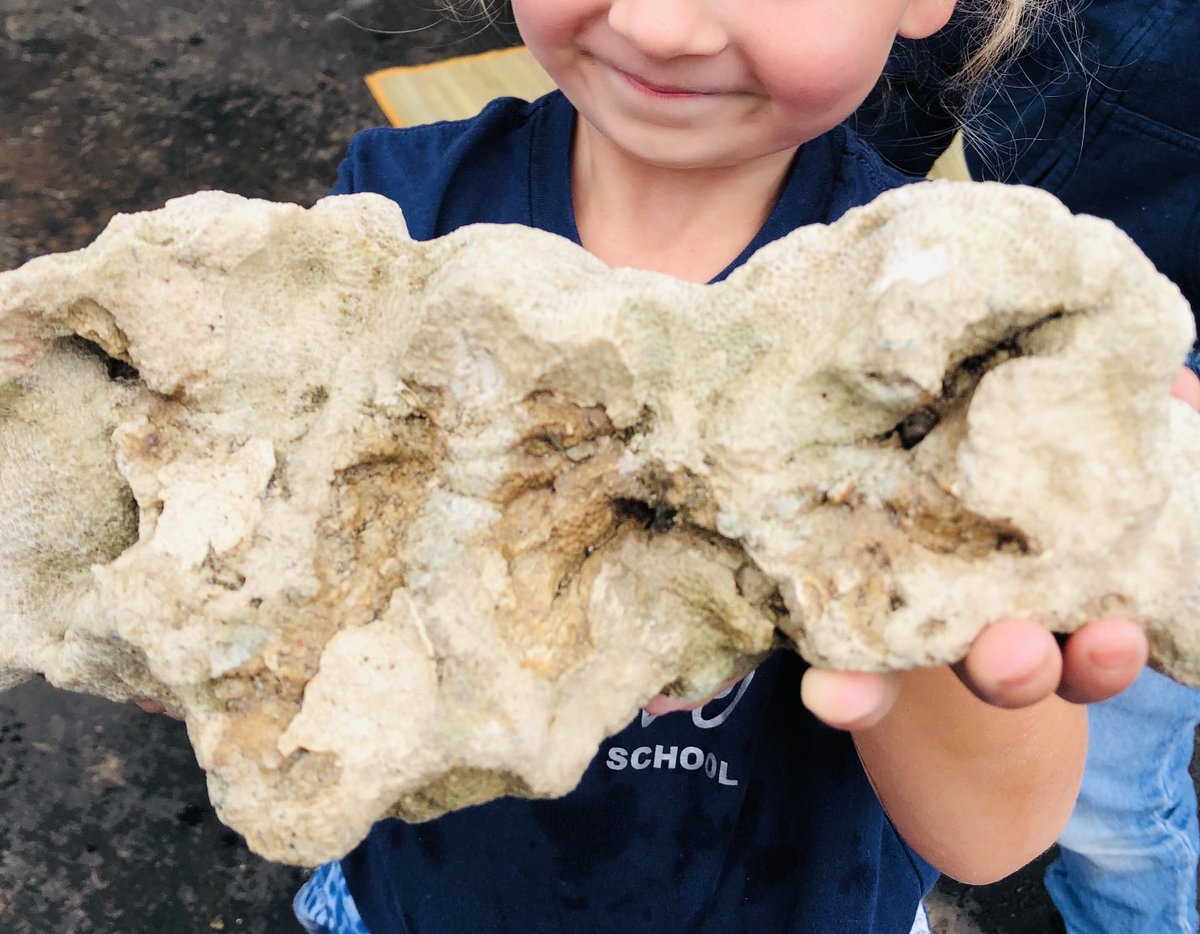 “I wish today would never end!” Students in Paradise loved ❤️ learning from a fabulous marine biologist ⁦<a href="/SierraGInTheSea/">Sierra Garcia</a>⁩ who is inspiring the next generation of ocean stewards #STEMTaught ⁦<a href="/TheCACoast/">The California Coast</a>⁩ ⁦<a href="/AchieveSupt/">Casey Taylor</a>⁩