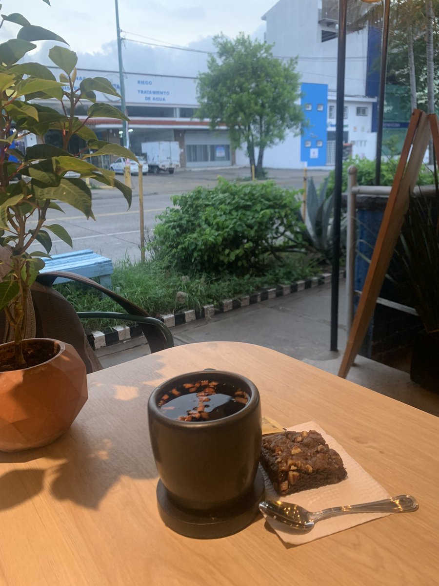 MaxMoralesChile's tweet photo. Crazy day after the #earthquake in México 🇲🇽 with some changes in the routine like enjoy this kiwi 🥝 strawberry 🍓 #tizana in a light rainy afternoon #slowdown #relax #teaexploration https://t.co/gkAmMsgwr6