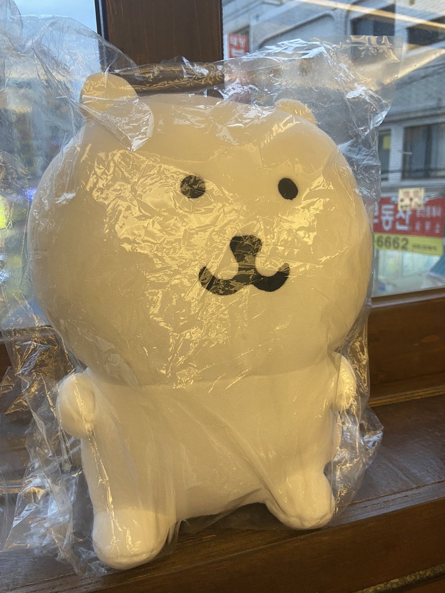 tnsdodi99's tweet photo. 이건 다른 동기가 선물해준... 내 머리의 세 배 만한 농담곰인형.. https://t.co/xxgqPZ6mUe