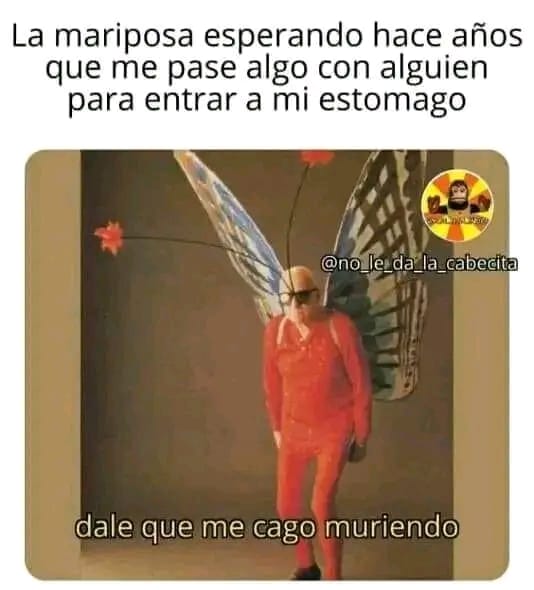 periquitaveloz's tweet photo. Lloré de risa con ésto.

Eso soy. https://t.co/b5jwwUP1QE