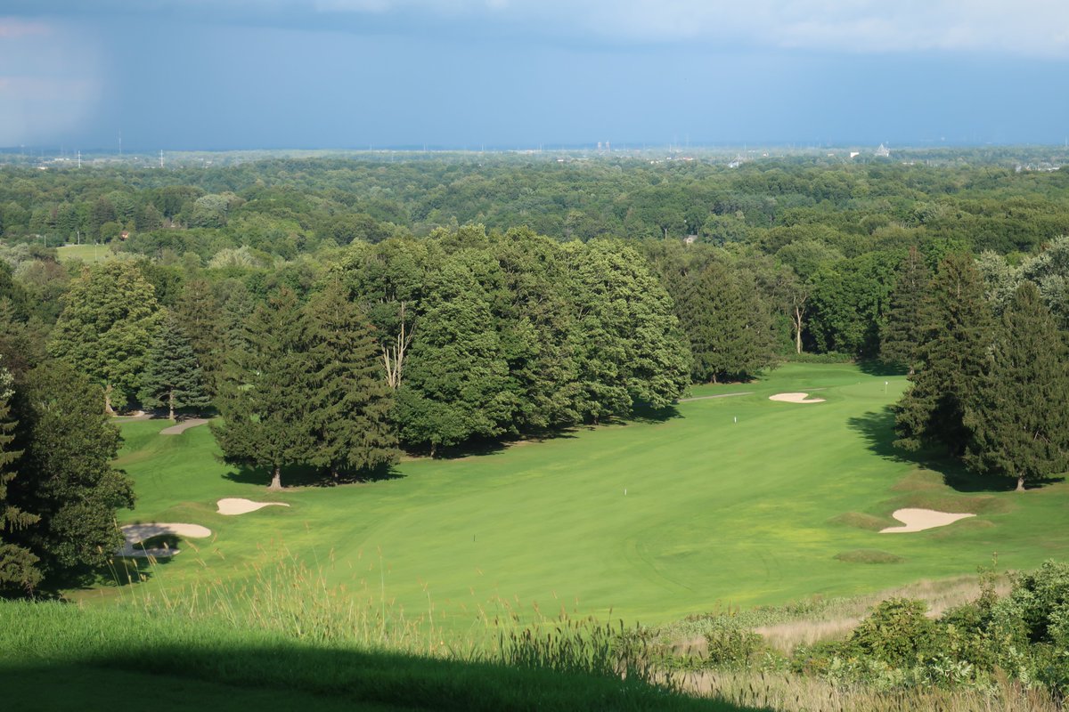 Andrew Harvie tweet media