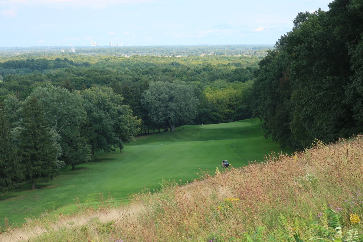 Andrew Harvie tweet media