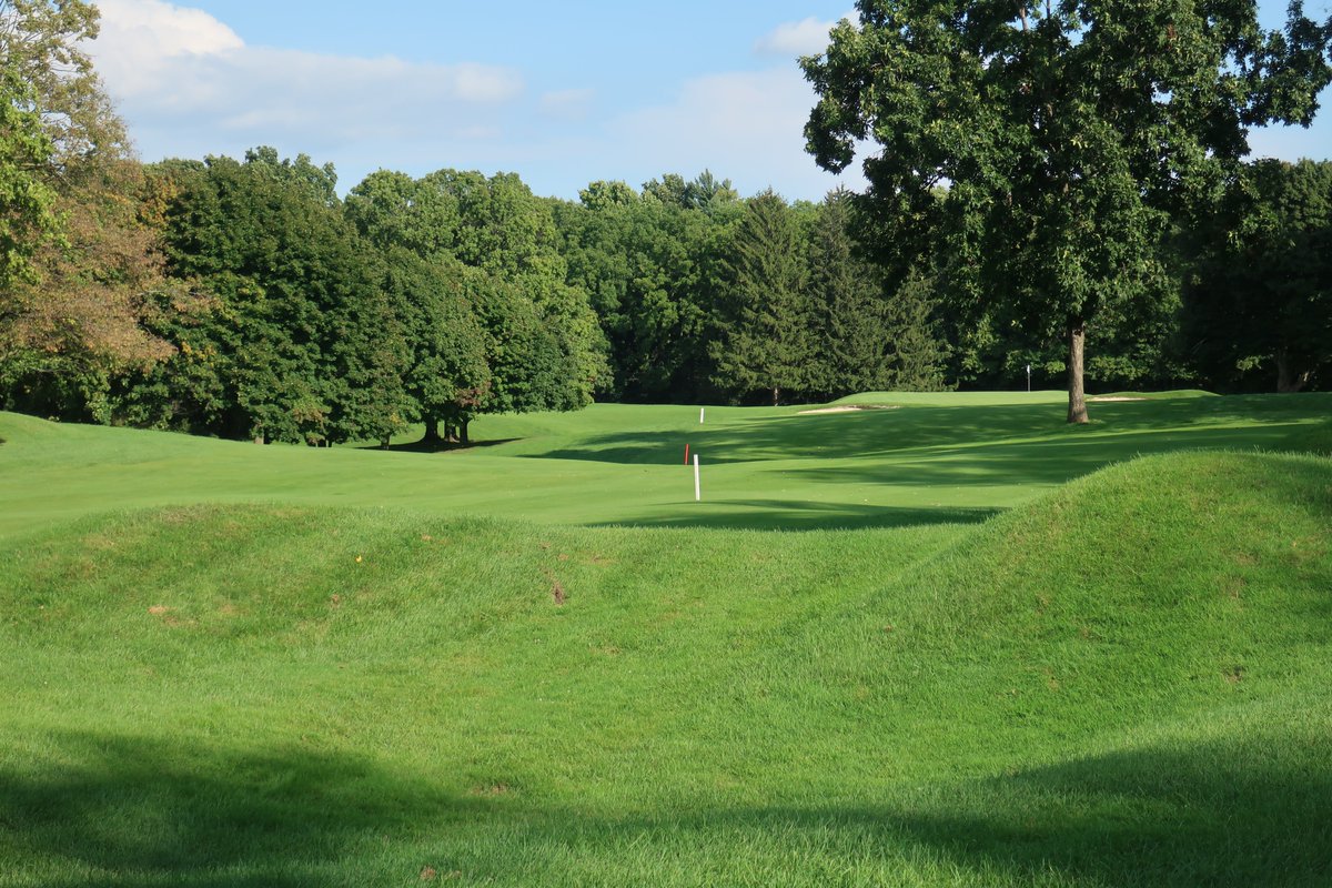 Andrew Harvie tweet media