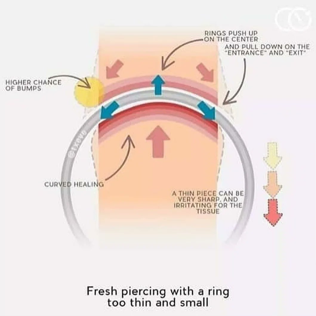 PiercerSammy's tweet photo. Each placement/piercing has different considerations when using a ring initially. But always the diameter and thickness must accomodate the initial healing period!
So, take advice from a safe piercer, because if you like it then you should sometimes wait to put a ring on it 💁🏻‍♀️💍 https://t.co/OE3ECPPayD