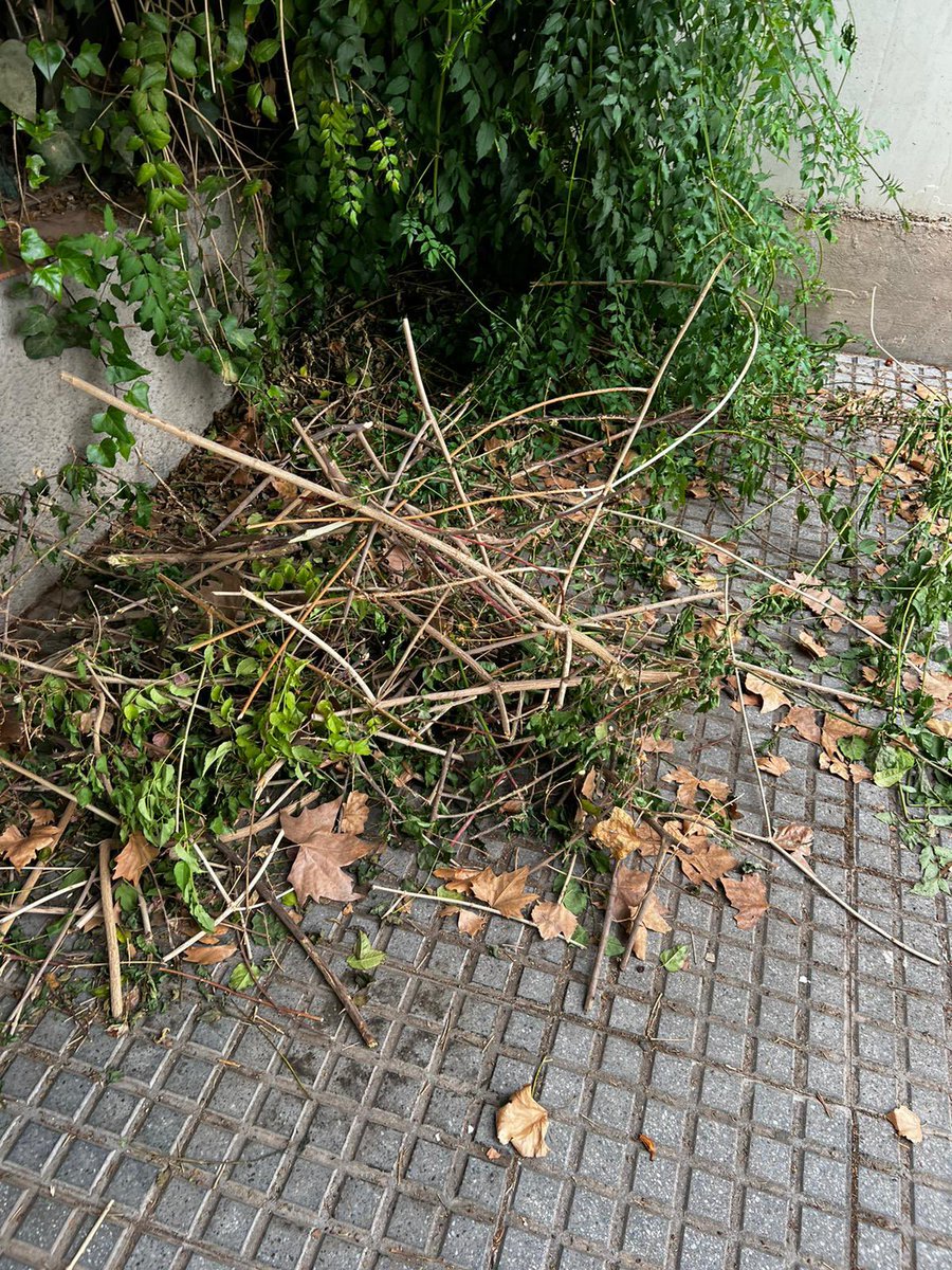 alestequeleden's tweet photo. Suciedad de días o semanas https://t.co/HdPU0uPAox