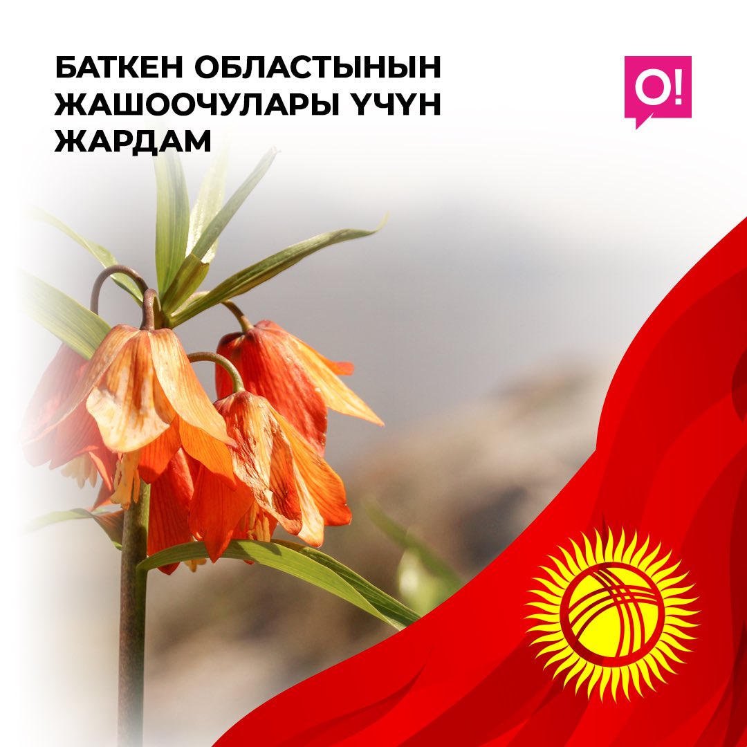 NurTelecom's tweet photo. Мобильный оператор О! перевел 20 миллионов сомов на государственный единый счет Аппарату полномочного представителя ПКР в Баткенской области. Все средства будут направлены для оказания помощи жителям приграничных районов Баткенской области. https://t.co/2qZAnC0wKL