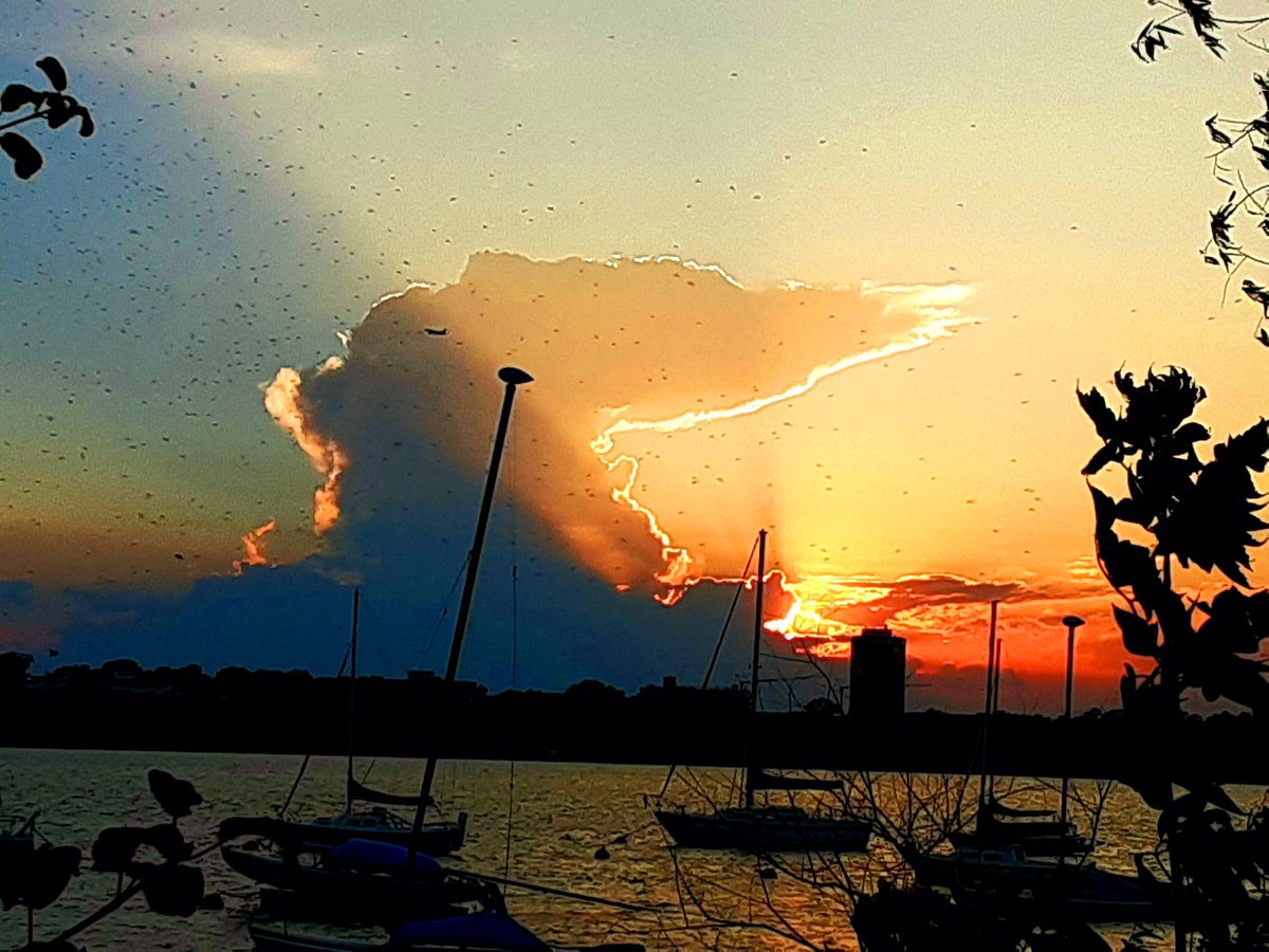 EconomonPaul's tweet photo. Bde maka ska. #Sundowns #sunsetphotography #minneapolislakes #clouds #goldensunset #pauleconomon https://t.co/YCekIGx4Uw