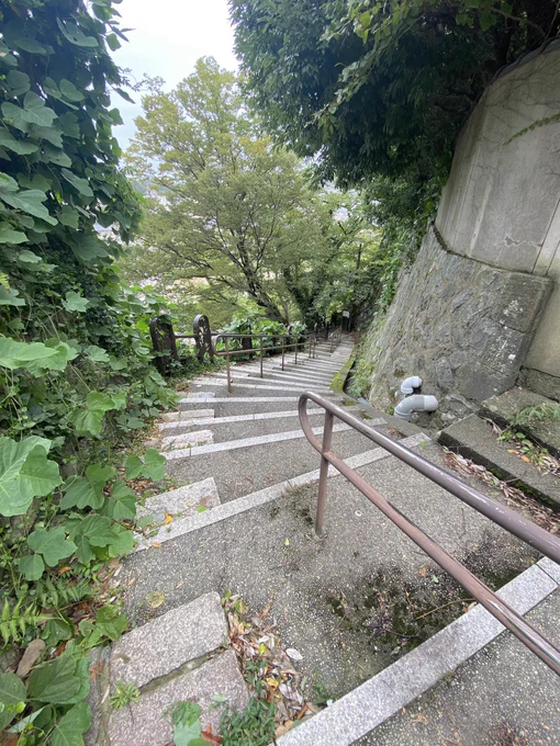 W坂から。 