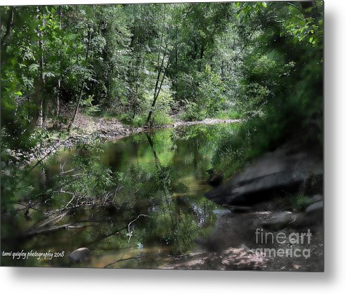 tamitrailscapes's tweet photo. Summer At The Creek https://t.co/11uk1T2Lzg #ThePhotoHour #ArtistOnTwitter #BuyIntoArt #summer #landscape #art for #wallart #giftidea #homedecor #officedecor! @visitPA @DCNRnews #JacobsburgStatePark #LehighValley @LehighValleyPA #metalprint #CanvasArtPrint #artprint #PASummerDays https://t.co/Wg7A5Z8xi5