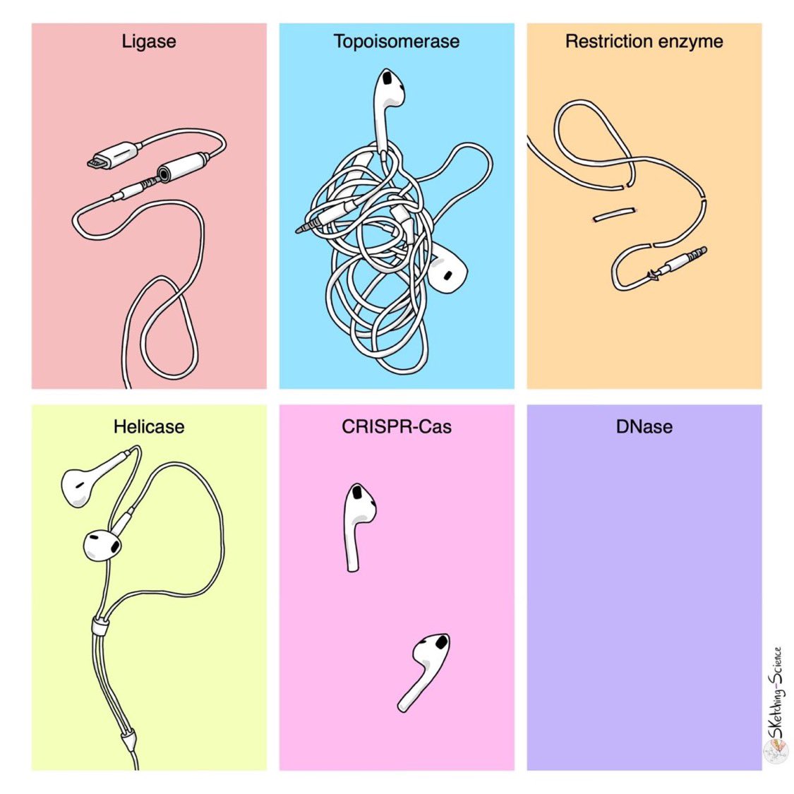 Medicinemia's tweet photo. https://t.co/fTOSEAxCHu