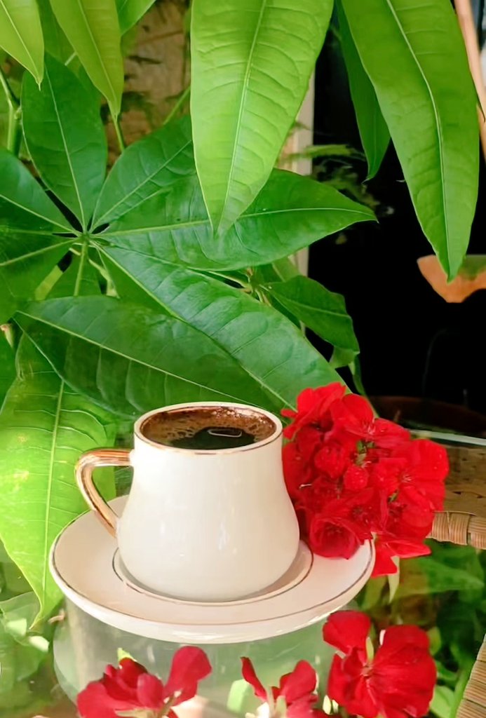 🌹🍃َ
َ
َما كانت الوردة وإنما مُهديها
وليست الكلمة وإنما قائلها
ولا الإبتسامة وإنما راسِمُها
وليست الهديةً إنما أصحابها
وما مَشينا الطريق إلآ لرفاقها
ولاهمَّتنا الدار وإنما ساكنيها
وما أحببناالأماكنَ إلآ لأهلها
فأي جمالٍ للحياةِ لو لم يكونوا فيها..؟
َ
َ
#صباح_الخير❤️❤️