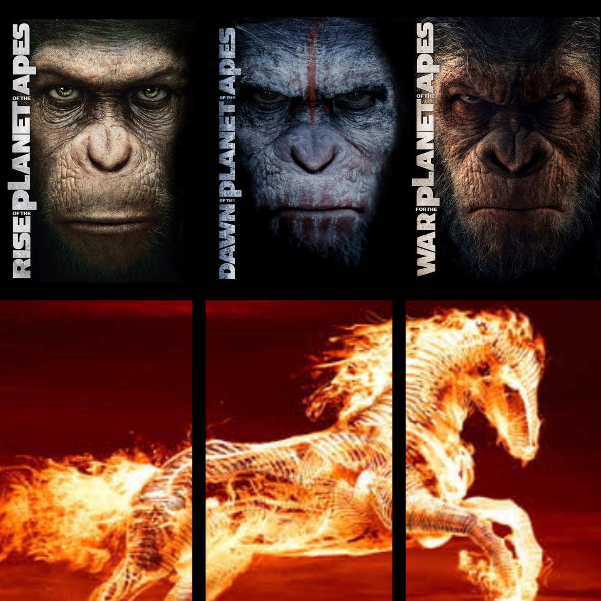 BLURAYANGEL 🦇 on X: "The PLANET OF THE APES trilogy is one of the greatest  trilogies of all time https://t.co/cjZsN3uPFE" / X