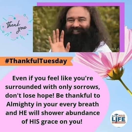 Saint Gurmeet Ram Rahim Ji समझाते हैं कि जब हम भगवान को धन्यवाद देते हैं, तो हम उनके नाम की महिमा का गुणगान करते हैं। #ThankfulTuesday