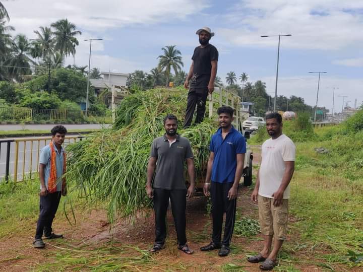 yuva_brigade's tweet photo. #CleanlinessIsHealth #SwachhBharat 
#YuvaBrigade volunteers along with Seva Sangama cut the grass grown around the premises of Adarsha Hospital at Kundapur. Thus cut grass was given to Hoovinakere #GouShala https://t.co/O0uyuABBnc