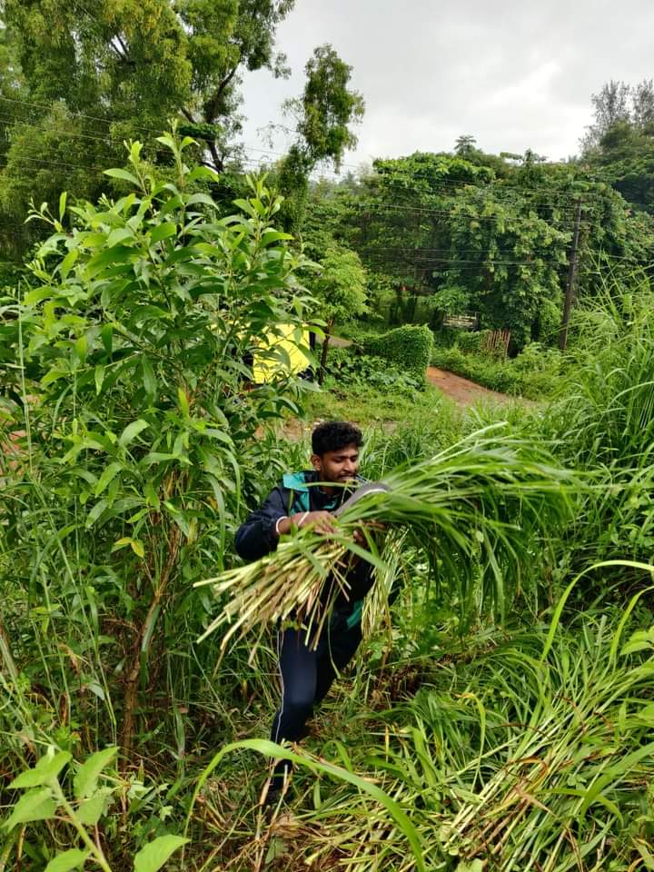 yuva_brigade's tweet photo. #CleanlinessIsHealth #SwachhBharat 
#YuvaBrigade volunteers along with Seva Sangama cut the grass grown around the premises of Adarsha Hospital at Kundapur. Thus cut grass was given to Hoovinakere #GouShala https://t.co/O0uyuABBnc