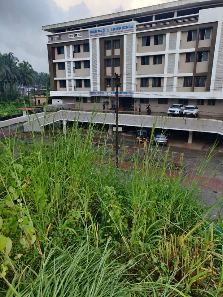 yuva_brigade's tweet photo. #CleanlinessIsHealth #SwachhBharat 
#YuvaBrigade volunteers along with Seva Sangama cut the grass grown around the premises of Adarsha Hospital at Kundapur. Thus cut grass was given to Hoovinakere #GouShala https://t.co/O0uyuABBnc