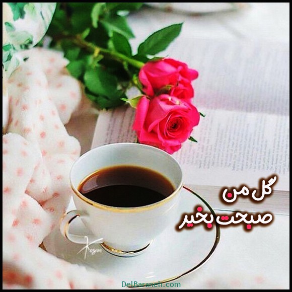 mhmdkhanmry2's tweet photo. سلام صبح همه بخیر دوستان گلم https://t.co/5NfWVUr2js
