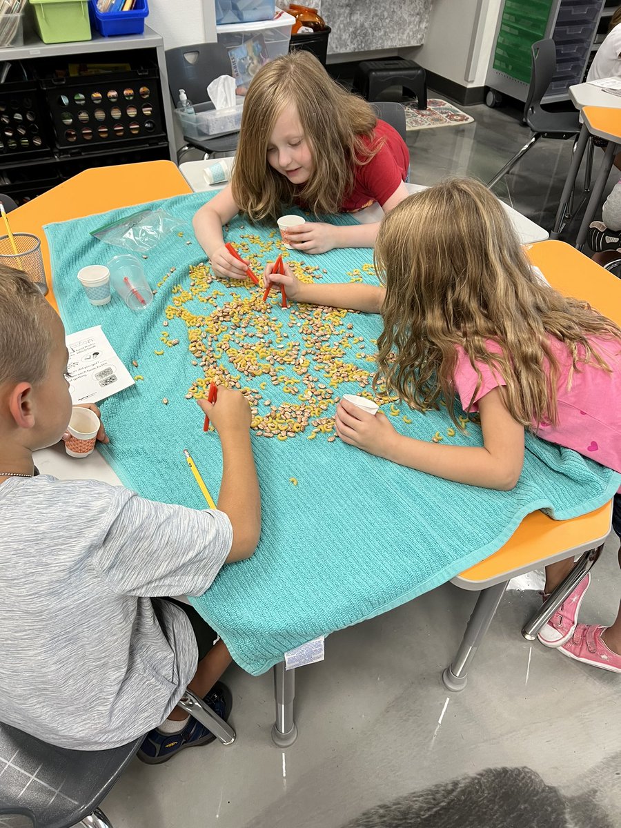 Find the best beak! We discovered different beaks are best for different kinds of food! <a href="/ctetigers/">Cumberland Trace ES</a> <a href="/MrsWillis_CTE/">Amanda Willis</a> <a href="/MrsDarnell_CTE/">Lori Darnell</a>