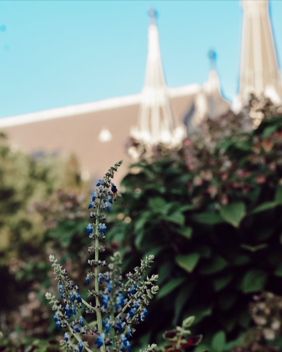 BluejayLife tweet media