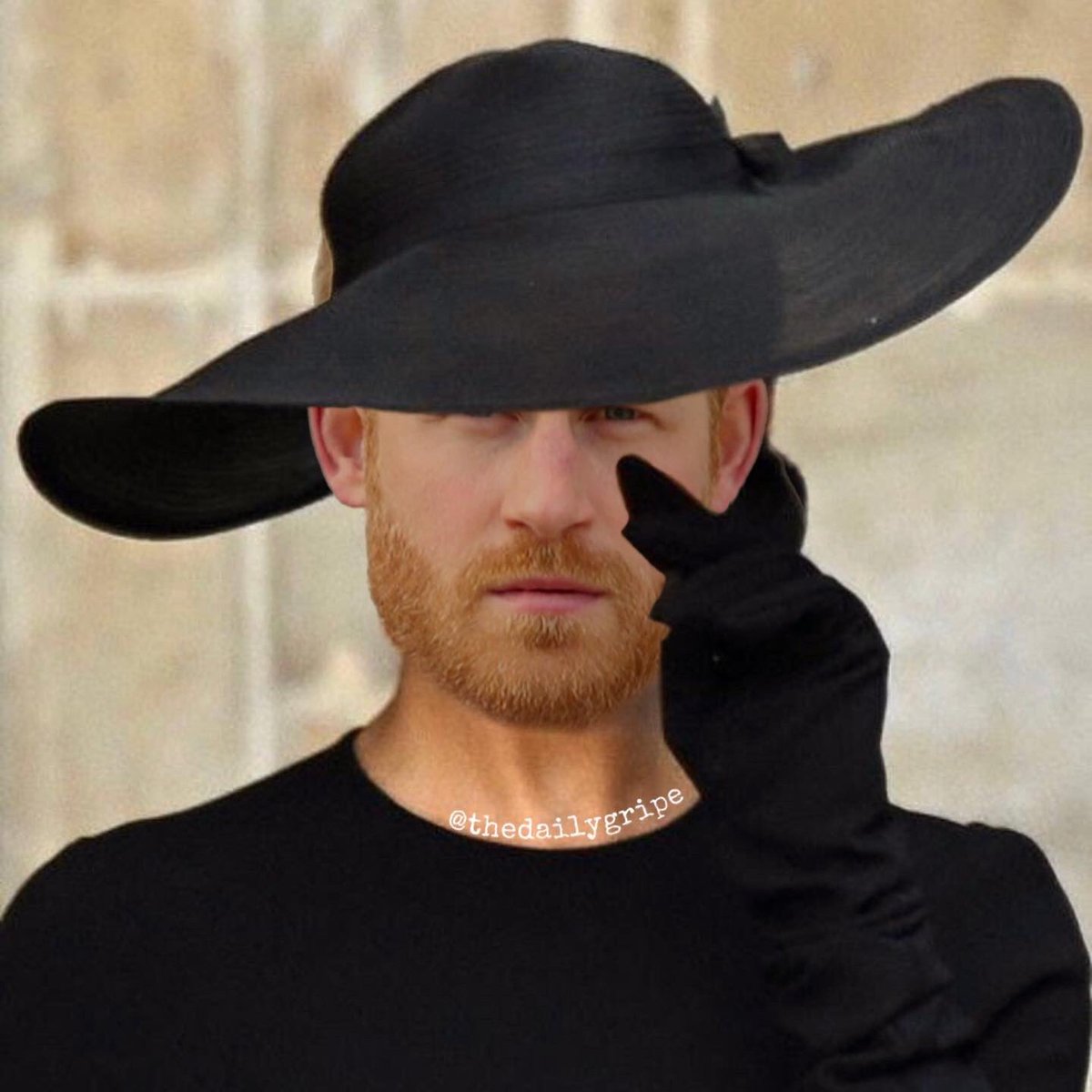 DailyGripeMemes's tweet photo. @ItsMisharlie The Dutchess of Sussex #PrincessHarriet https://t.co/ZelQLzI9q2