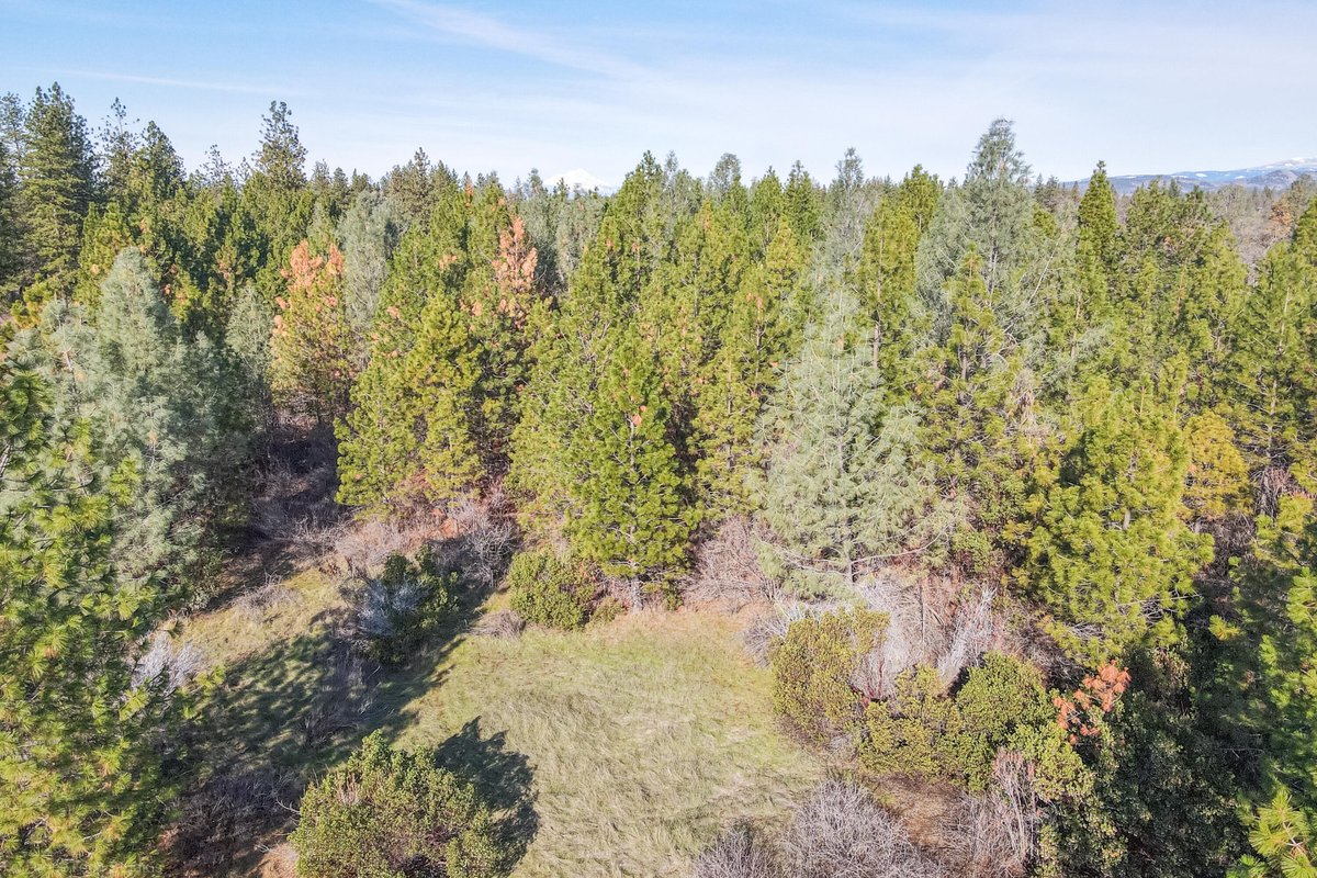 ReddingRep's tweet image. We are looking for a buyer on Lot 9 Moraine Way #Shingletown #CA  #realestate tour.corelistingmachine.com/home/ADQBP4